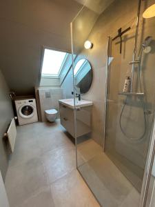 a bathroom with a shower and a sink and a toilet at G10 Apartments in Akureyri +34 photos