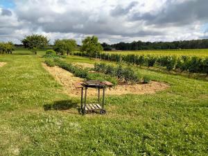 a garden with a grill in the middle of a field at Maison dans les vignes - proche Chenonceau Beauval in Saint-Georges-sur-Cher