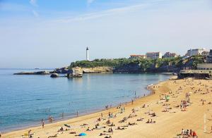 比亚里茨Confort, halles et plage à pied Biarritz centre的一群人在靠近水边的海滩上