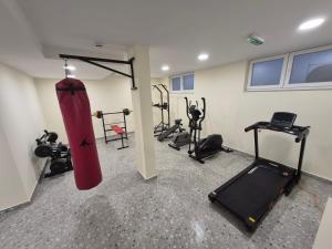 Fitness centrum a/nebo fitness zařízení v ubytování Hostel Novi Sad