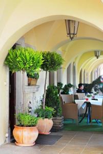 a hallway with potted plants on the side of a building at Hotel Senator in Zamość