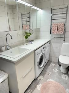 FälhultにあるSmåländsk stugidyll med vedeldad tunna & pizzaugnの洗面台と洗濯機を備えたバスルーム