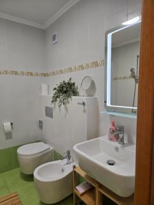 a bathroom with a sink and a toilet and a mirror at Apartment Belaj SeaSide Resort - Sea view in Umag +16 photos