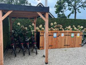 Zahrada ubytování Plassenzicht Logies & Sloepverhuur + 12 fotografií