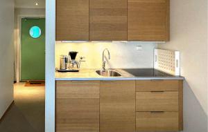 Η κουζίνα ή μικρή κουζίνα στο Pet Friendly Apartment In Søgne