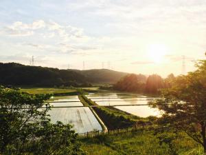 a view of a river with a group of crops at 銭がめ in Kanazawa