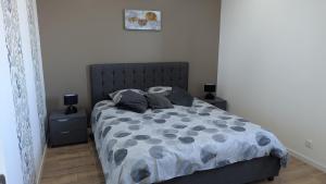 ein Schlafzimmer mit einem Bett mit einer grauen Bettdecke und Kissen in der Unterkunft Domaine de la Griffe - Appartement "Sous Dine" in La Roche-sur-Foron