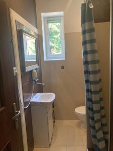 łazienka z umywalką, toaletą i oknem w obiekcie Leonia- Apartamenty i Pokoje Gościnne w Iwoniczu-Zdroju