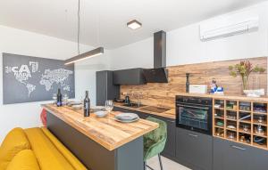 Kuchyň nebo kuchyňský kout v ubytování Murter - Jezera Luxury Apartments