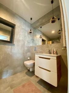 a bathroom with a white toilet and a sink at Daj Sobie Spokój - WIDOK 800mnpm OGRÓDEK in Szklarska Poręba +16 photos