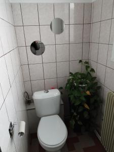Koupelna v ubytování Appartement centre Alsace + 1 fotografie