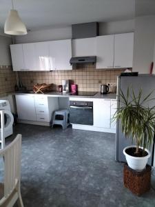 Kuchyň nebo kuchyňský kout v ubytování Appartement centre Alsace