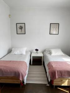 two beds sitting next to each other in a room at Casa Chocolate in Porto