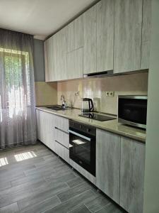 Kuchyň nebo kuchyňský kout v ubytování Guest House Gulba