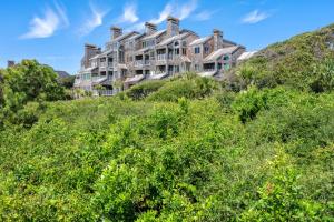 Příroda nedaleko vily