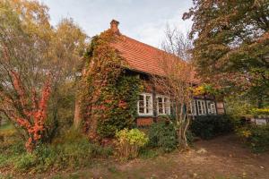 Vor einem Haus voller Efeu in der Unterkunft Romantische, alte Wassermühle in Rieste + 15 Fotos