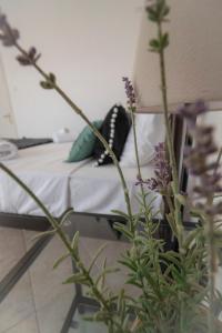 ネア・ムダニアにあるMelMare Apartments by RentalsPro - Nea Moudania Halkidikiのベッド1台と植物のあるテーブルが備わる部屋