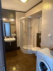 a bathroom with a shower and a toilet and a sink at Apartament Rodzinny Zielone Tarasy in Skorka