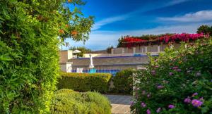 Zahrada ubytování Beautifully decorated Apartment Alambra, with Coast and Sunset Views, Aphrodite Hills