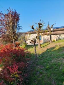 a garden with trees and flowers in front of a building at La Bottega di Torreluca in Todi +39 photos