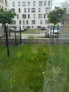 a field of grass with yellow flowers in front of a fence at Platon Residence Apartments in Łódź