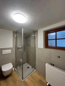a bathroom with a shower and a toilet and a window at Ferienhaus Schmuckstück in Schiltach +18 photos