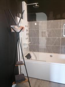 ナルボンヌにあるStudio Baignoire centre villeのシャワーとバスタブ付きのバスルーム +5枚の写真