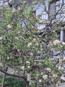 Giardino di Aspet B&B