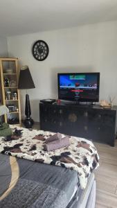 Telewizja i/lub zestaw kina domowego w obiekcie studio agay a 2 pas des plages