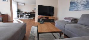 a living room with a couch and a flat screen tv at Apartment Sunrise in Batina