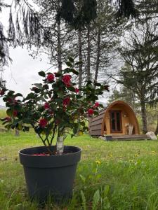 Zahrada ubytování Cabane en bois POD 2