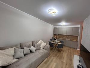 a living room with a couch and a table at Apartament nad Wisłą in Grudziądz