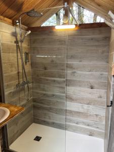 una ducha con puerta de cristal en un baño en Wigwam et Dôdome sous les étoiles, en Champfromier