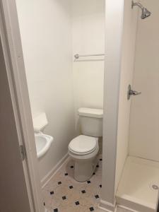 a white bathroom with a toilet and a shower at Buffalo Guesthouse in Buffalo +25 photos