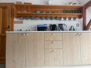 Η κουζίνα ή μικρή κουζίνα στο JESTED21 Apartmány