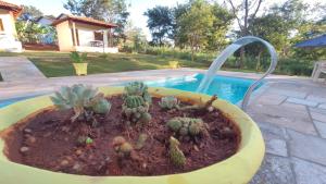 un pot avec des cactus à côté d'une piscine dans l'établissement Chalés por do sol, à Pirenópolis