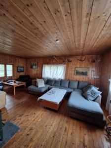 a living room with a couch and a wooden ceiling at Hytte uten hyttenaboer in Nore
