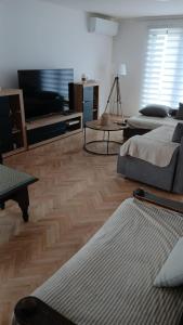 a living room with two beds and a flat screen tv at Nani Apartman - Banja Ždrelo in Malo Laole