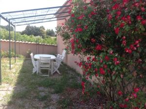 Taman di luar Gîte Valensole