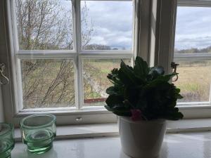 Fotografie z fotogalerie ubytování Ekeliden B&B v destinaci Ulricehamn