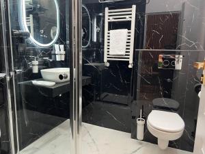 een badkamer met een douche, toilet en wastafel bij Apartment Deluxe Bucharest Downtown in Boekarest