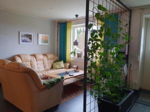Posezení v ubytování Ekeliden B&B