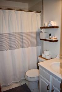 un bagno con un water e una tenda da doccia di Private 3 Bedroom Cottage 5 minutes to Belleayre a Fleischmanns