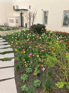 Vonkajšia záhrada v ubytovaní Hotel Beránek
