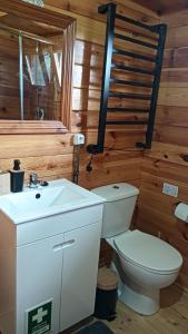 a bathroom with a white toilet and a sink at Quinta D' LuzArcoIris in Arganil