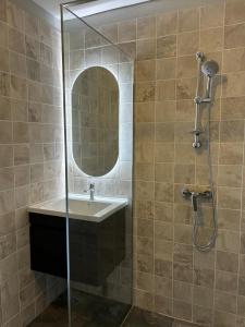 a bathroom with a sink and a shower with a mirror at Le Cactus spacieux appartement Mamoudzou hyper centre avec vue jardin in Mamoudzou