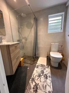 ein Badezimmer mit Toilette, Dusche und Waschbecken in der Unterkunft Studio confortable à Petit-Bourg avec terrasse 30 m² in Petit-Bourg