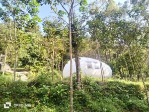 una tienda de campaña iglú en medio del bosque en Mamalakandam - Egg House - in Diya Homestay, en Mamalakandam 20 fotos más