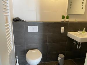 a bathroom with a white toilet and a sink at Apartment Nikki in Medebach