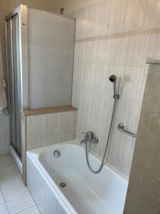 a bathroom with a bath tub with a shower at appartamento Il Galletto in Vitiano